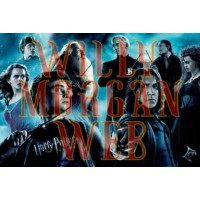 Harry Potter 13